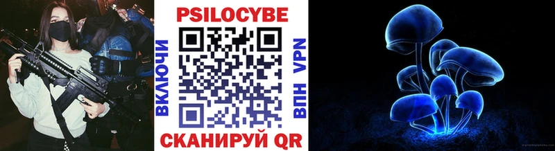 Купить закладки  Юхнов  Галлюциногенные грибы MAGIC MUSHROOMS 